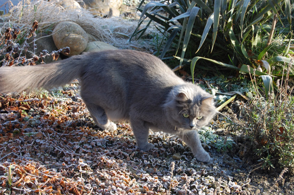 ist sie gerne draussen.jpg